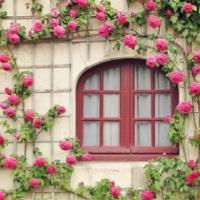 Window Sill Guys image 1